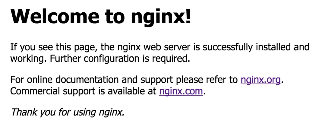 The default Nginx page, which says &ldquo;welcome to Nginx&rdquo; and links to documentation.